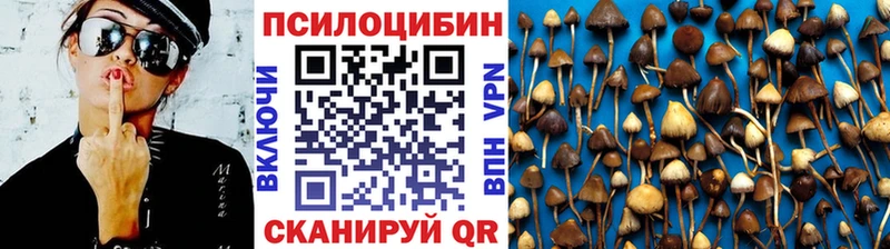 Псилоцибиновые грибы Cubensis  Чебаркуль 